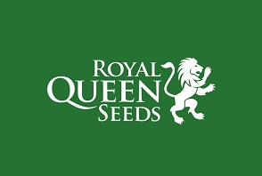Royal Queen Seeds światowej klasy producent nasion marihuany.