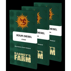 Sour Diesel | Barney's Farm